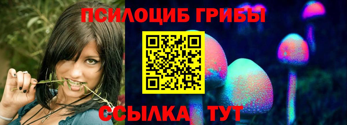Псилоцибиновые грибы Psilocybine cubensis  Галлюциногенные грибы Psilocybine cubensis  Вход с VPN  Якутск 